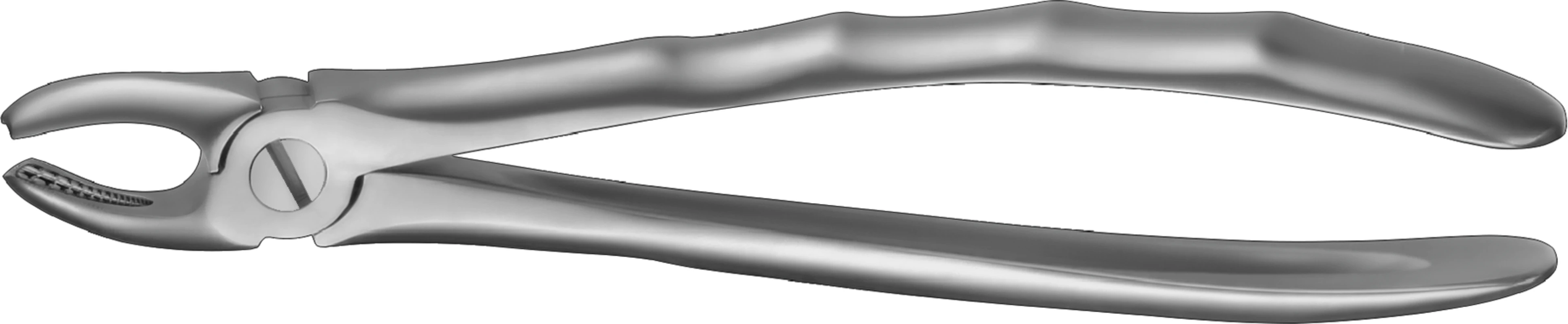 Zahnzangen LS Carl Martin