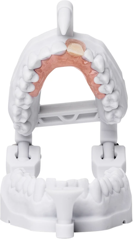 FREEPRINT® denture flex Flasche 1 kg Kunststoff 385 nm, pink-transparent