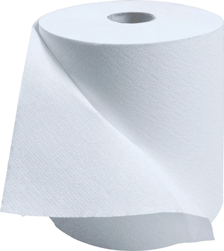 Handtuchpapierrolle Karton 6 Stück 2-lagig, ca. 466 Blätter