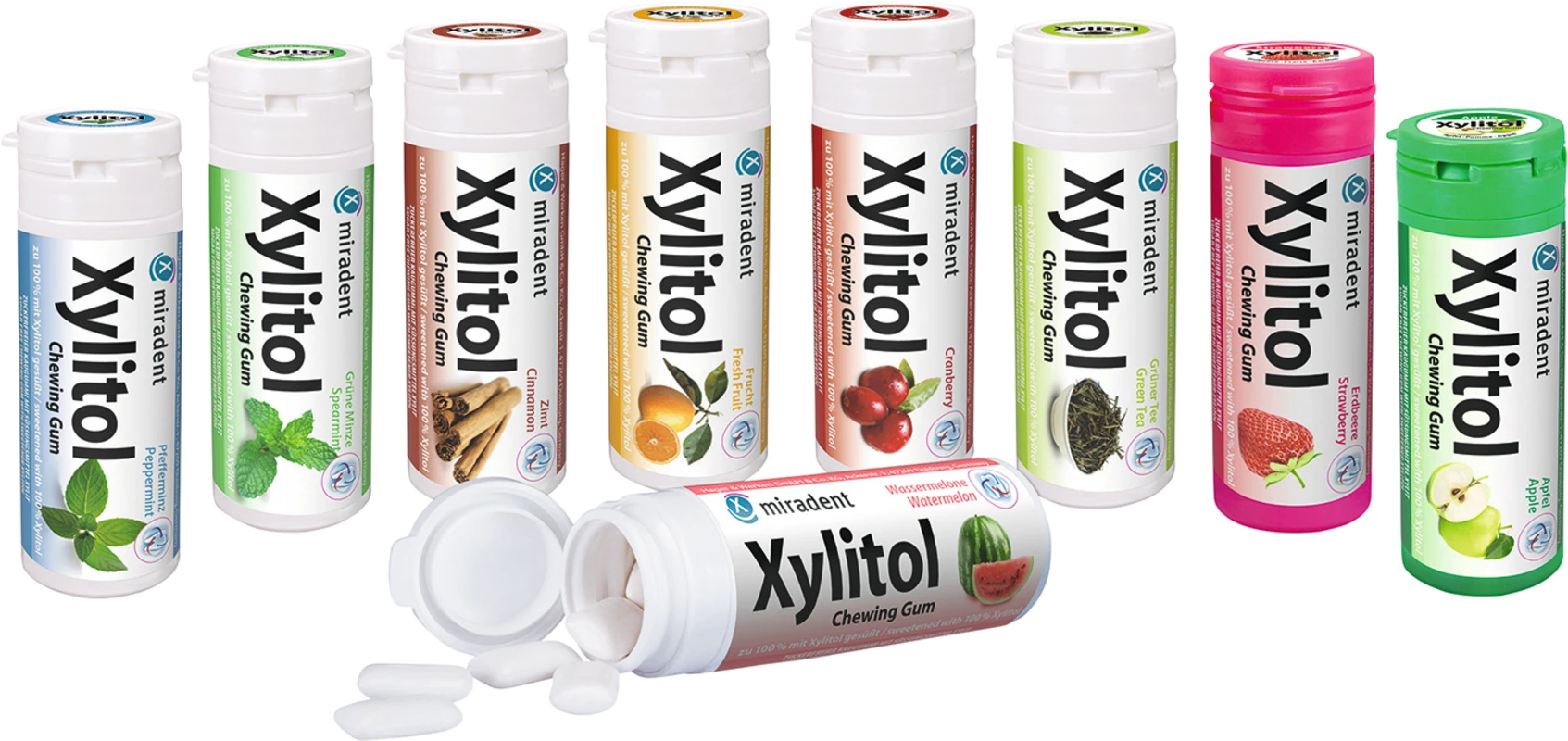 Xylitol Chewing Gum Display 12 Dosen x 30 Stück Erdbeere