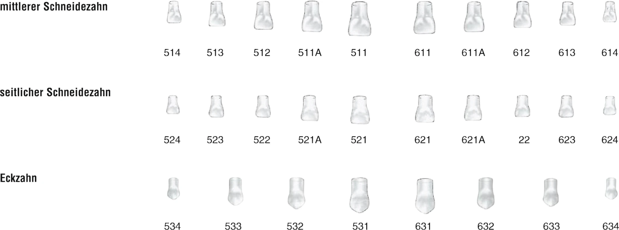 Strip-Kronen Kinder Klar Packung 5 Stück Nr. 511