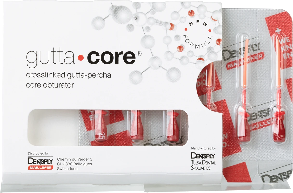 GuttaCore® Packung 6 Stück ISO 025