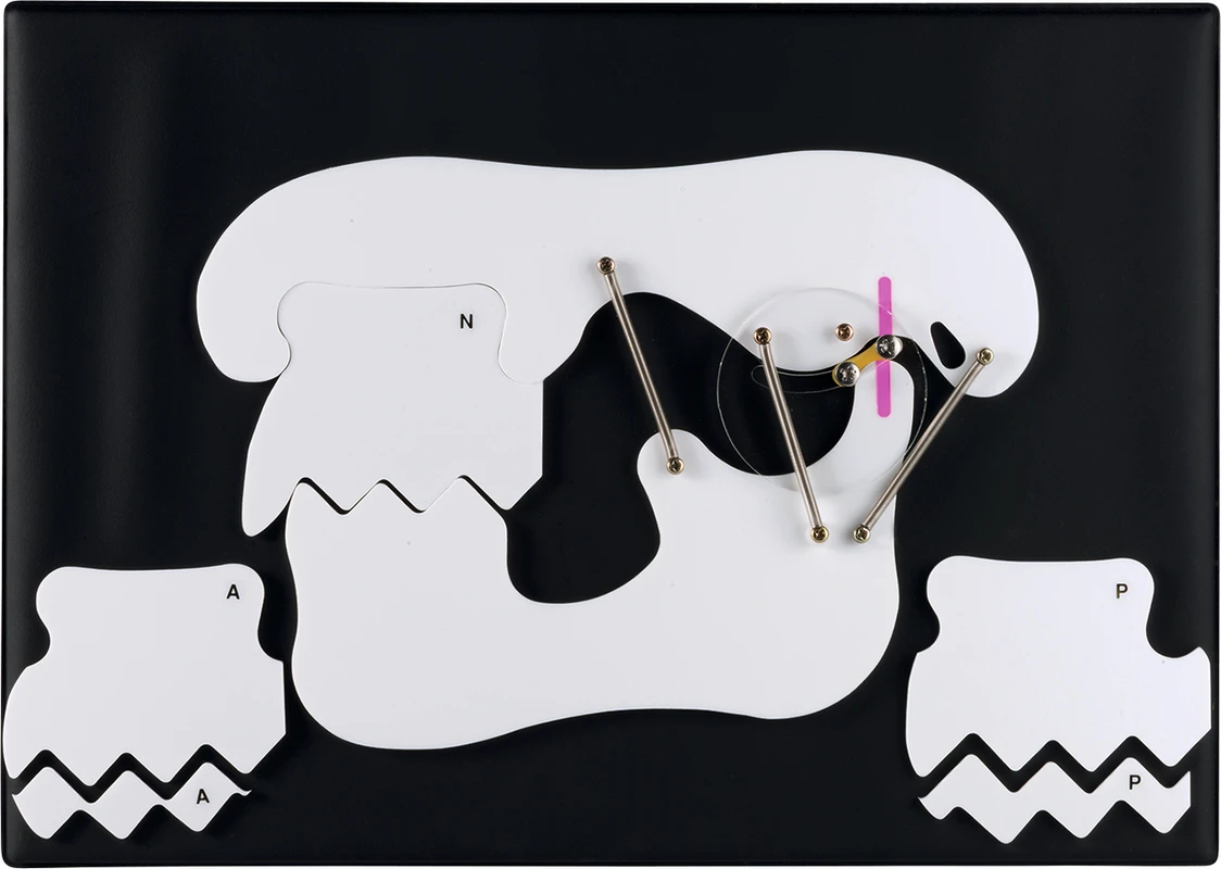 Kiefergelenk-Schablone P13-TR11 Morita