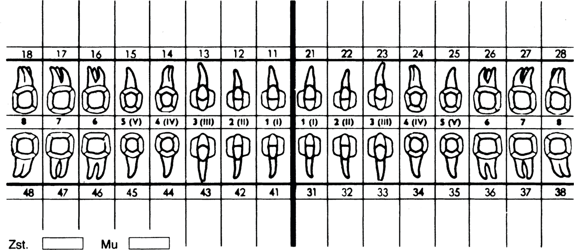 Zahnschema SK Spitta Verlag