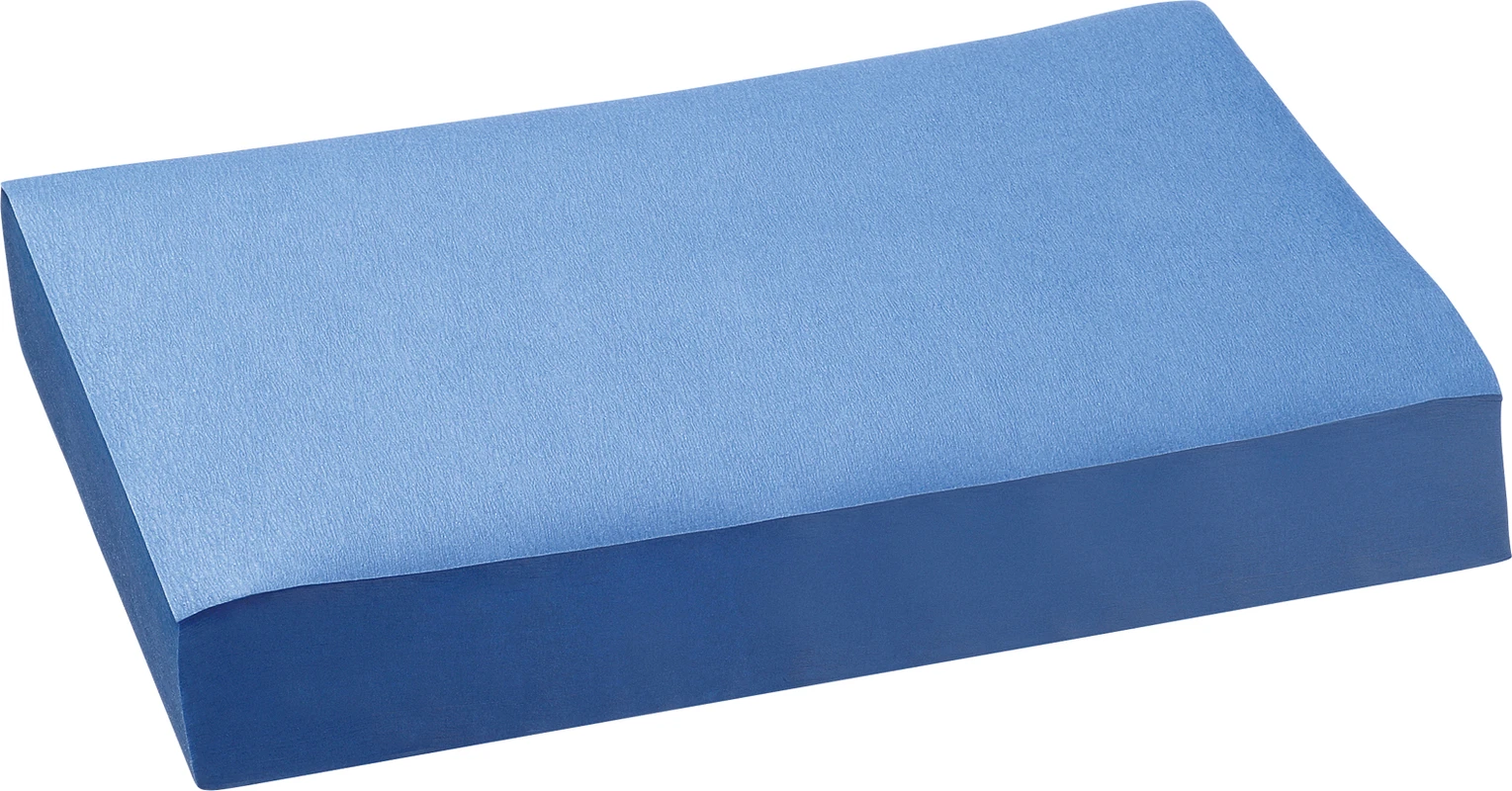 Dental Tray-Einlagen Karton 10 x 250 Stück 18 x 28 cm, med blau