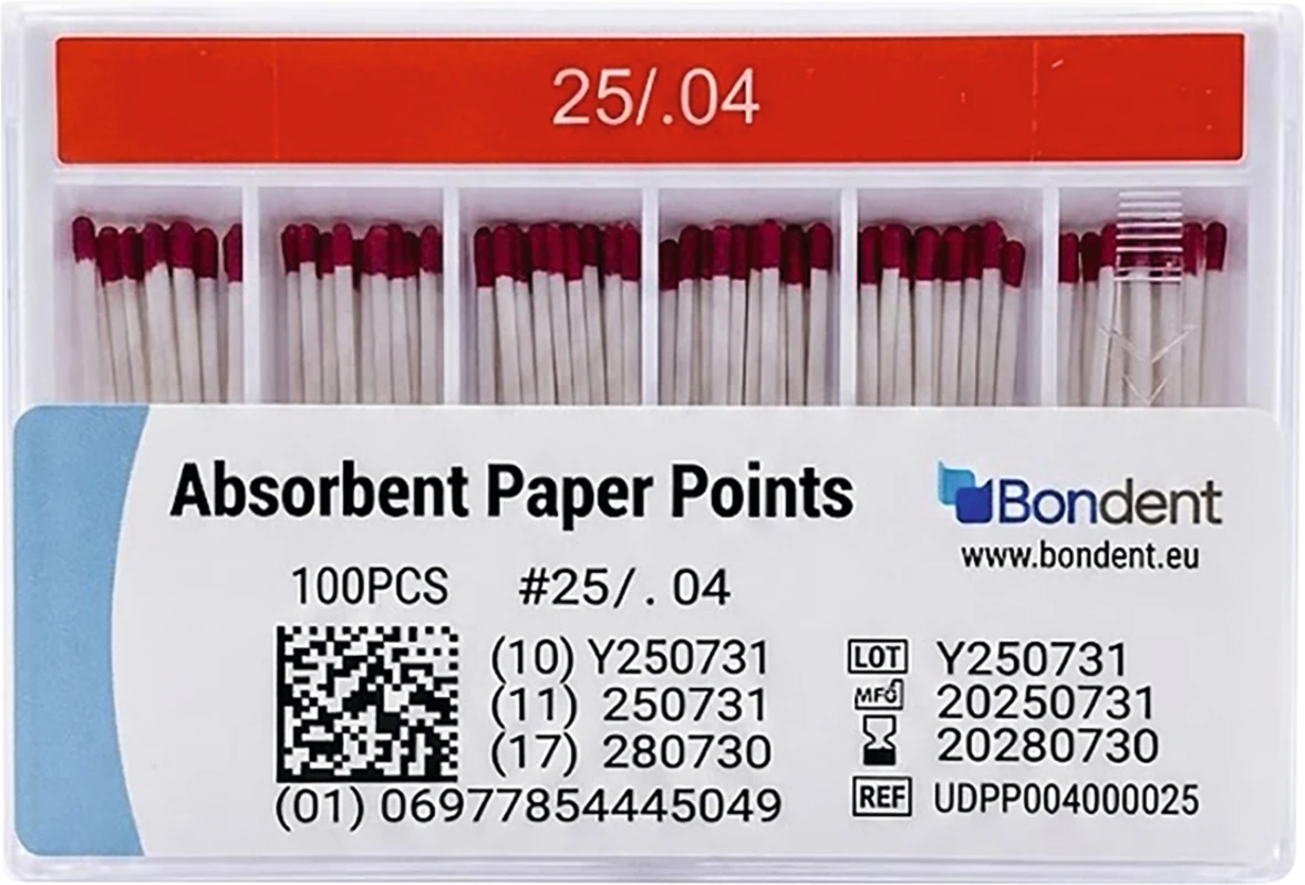 Paper Points Packung 100 Stück Taper.04, ISO 025