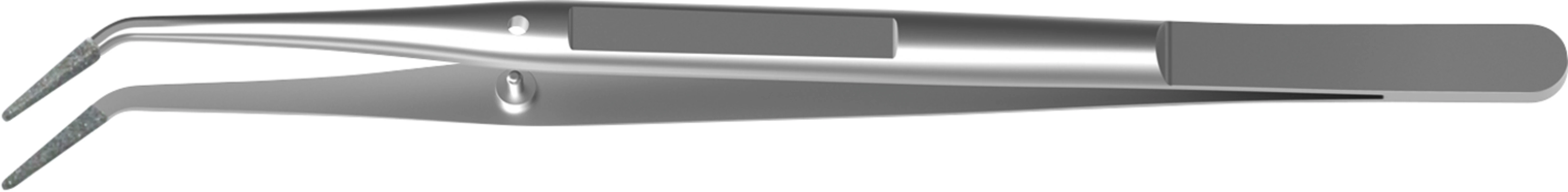 Pinzette nach College LS-Passion Carl Martin