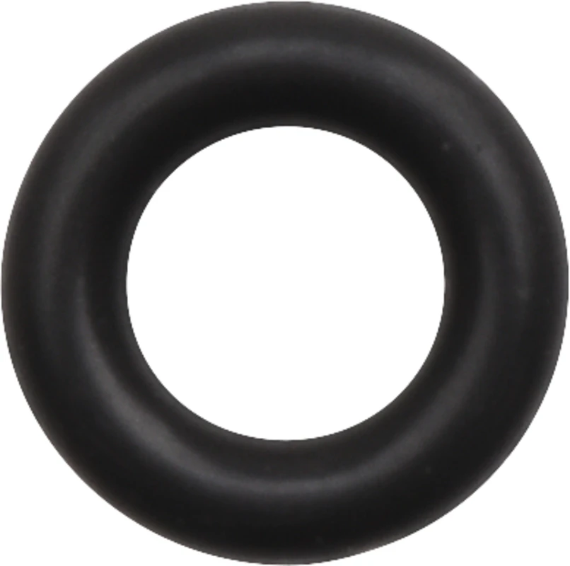AIR-FLOW® Prophylaxis Master O-Ring Stück für BC-298, Prophylaxis Master