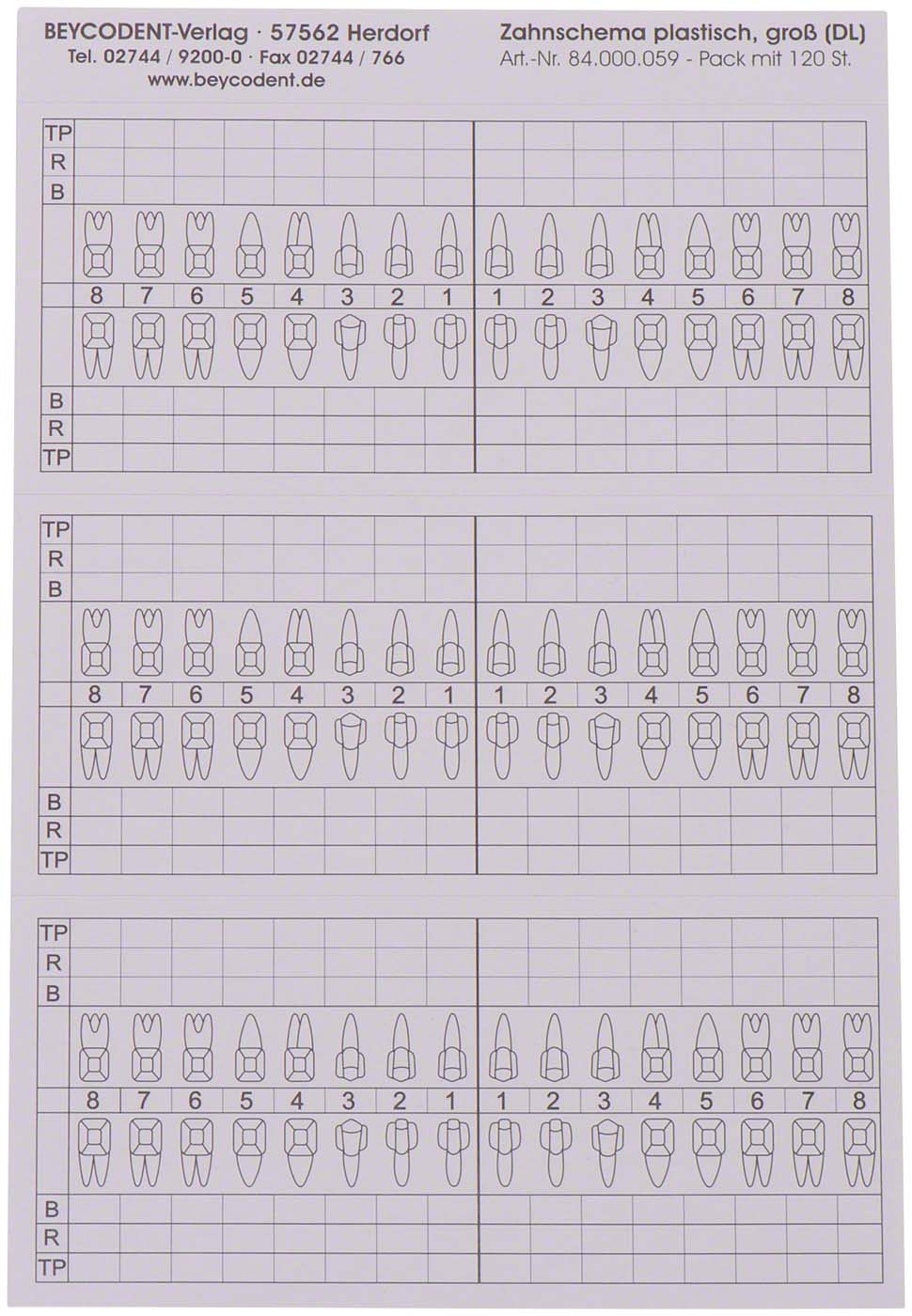 Zahnschema plastisch groß Beycodent