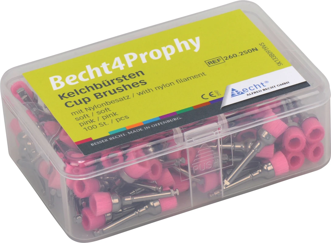 Becht4 Prophy Kelchbürsten