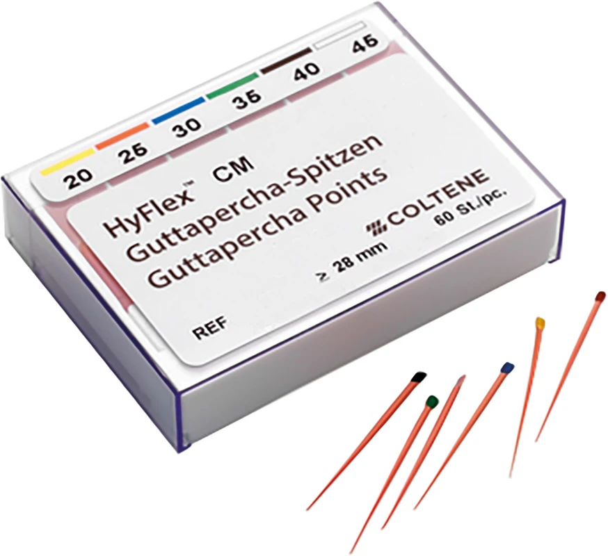 HyFlex™ CM Guttapercha-Spitzen Packung 60 Stück, SB 0.04, ISO 020 - 045