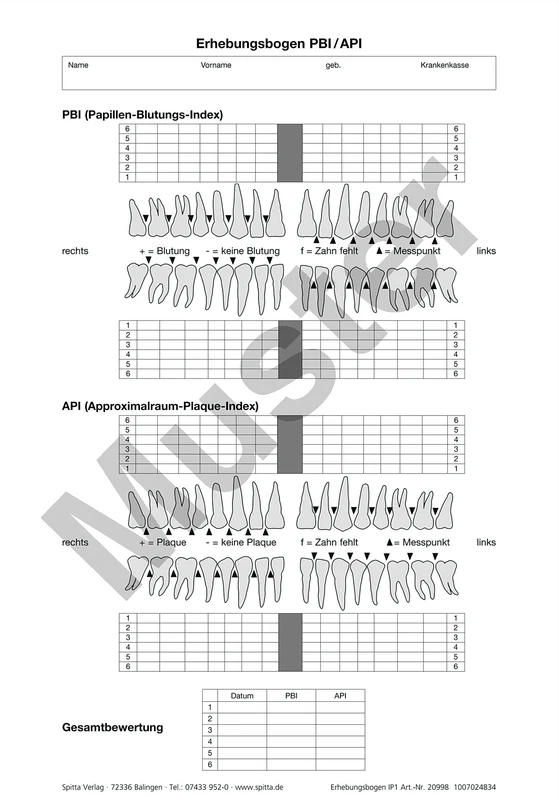 Erhebungsbogen PBI/ API Stück 100 Blatt