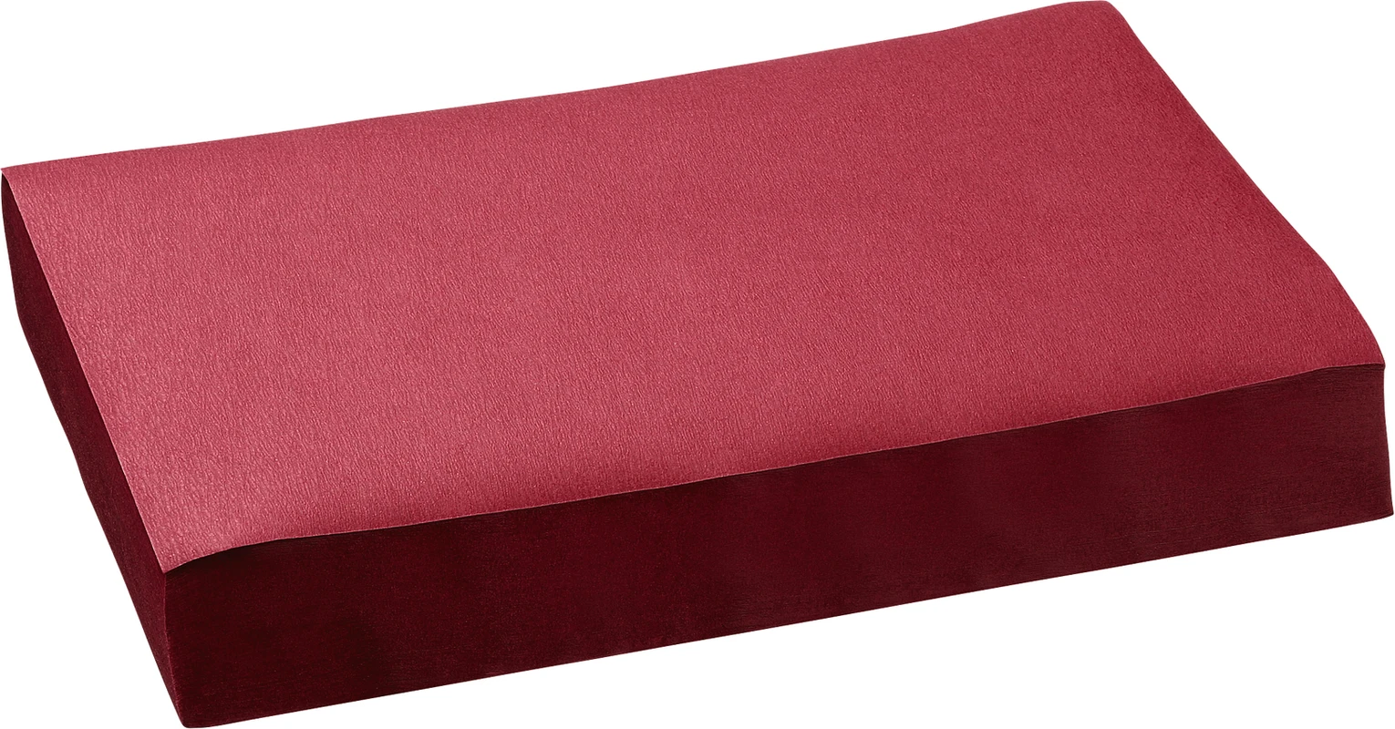 Dental Tray-Einlagen Karton 10 x 250 Stück 18 x 28 cm, weinrot