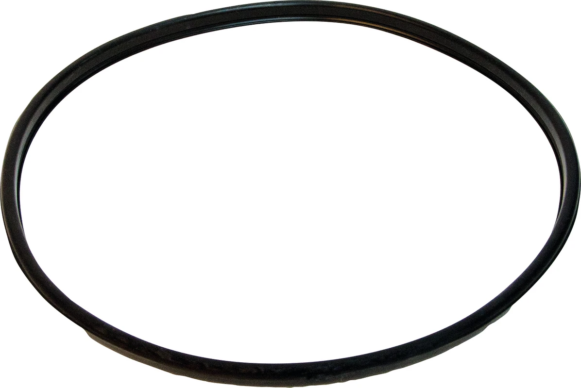 Hygoclave 90 Türdichtung Dürr Dental