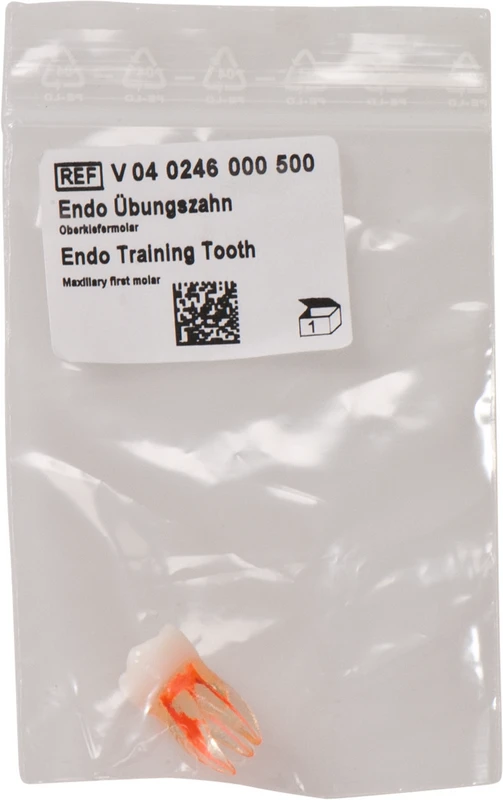 Endo Übungszahn Stück