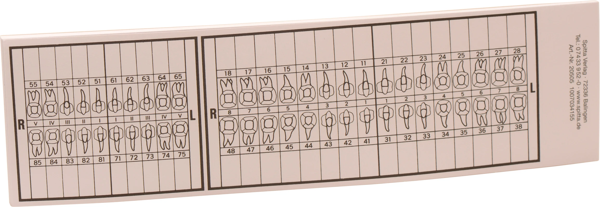 Zahnschema groß Spitta Verlag