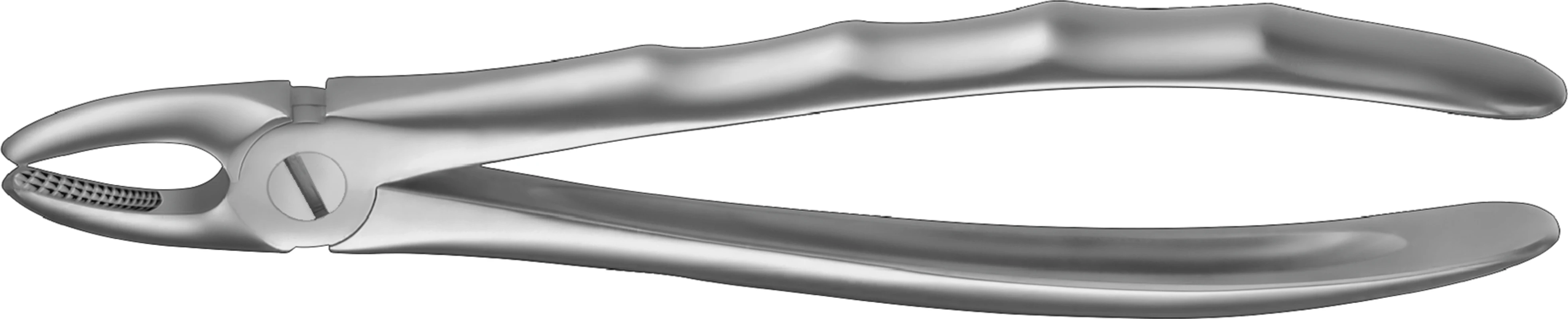 Zahnzangen LS Carl Martin