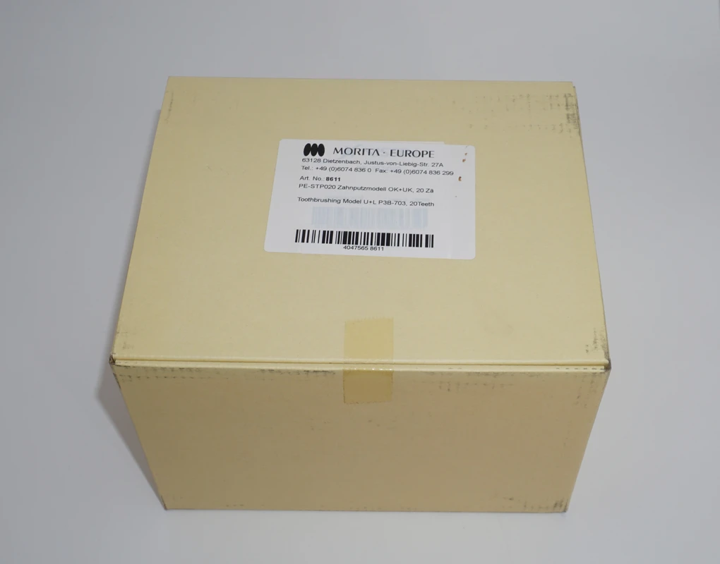 Zahnputzmodell PE-STP020 Stück Zahnputzmodell PE-STP020 Stück