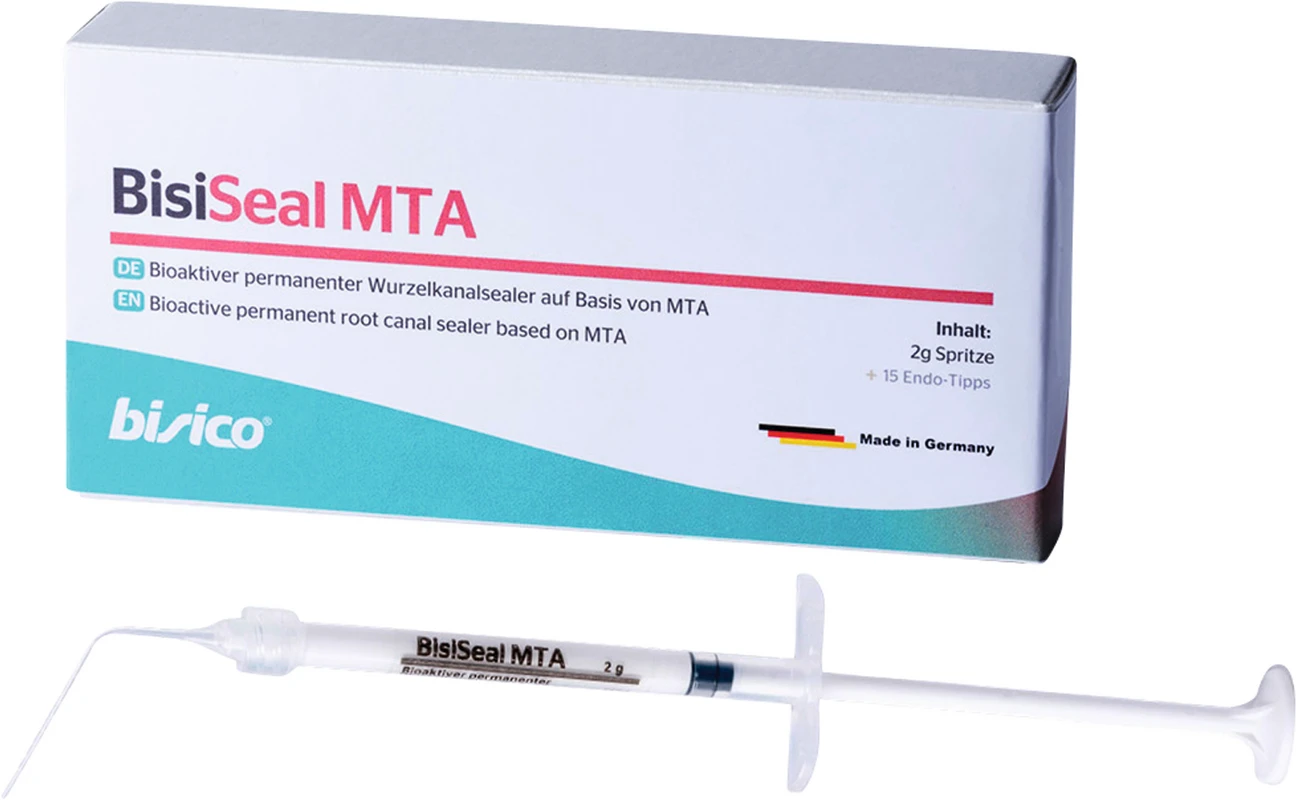 BisiSeal MTA Spritze 2 g
