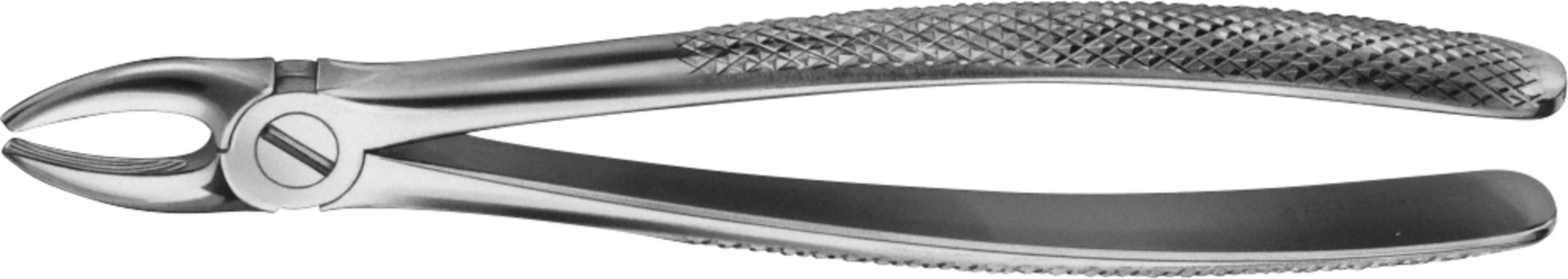 Anatomica-Zahnzangen nach Büchs Stück DH702R, für obere Schneide und Eckzähne