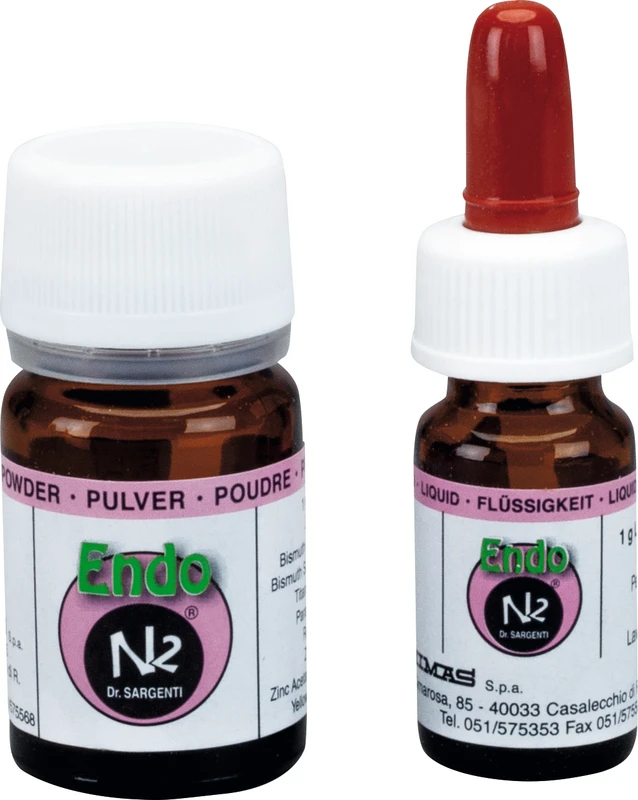 Endo N2® Cement Packung 10 g Pulver