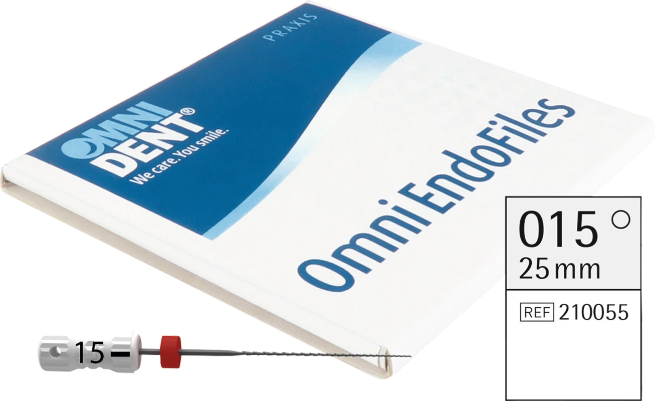 Omni Hedstroemfeilen steril Packung 6 Stück steril, 25 mm, ISO 015