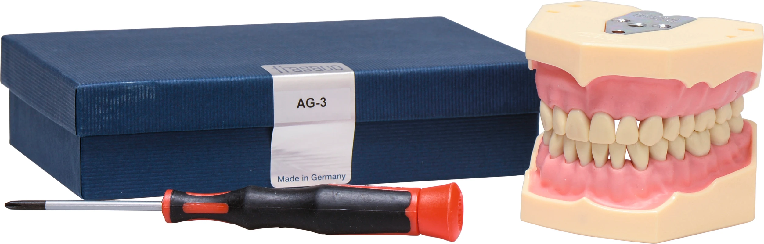 Arbeitsmodell AG-3 Stück OK/UK inklusive 32 Zähne Arbeitsmodell AG-3 frasaco