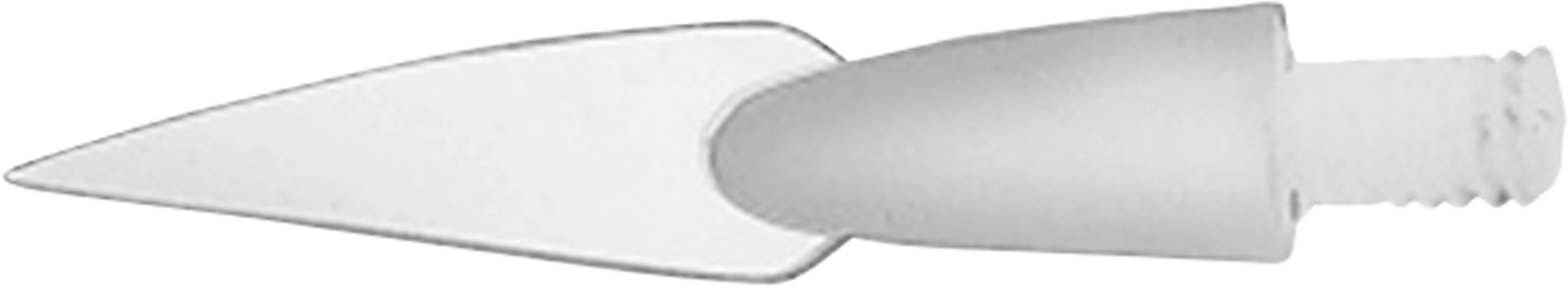 Modellierinstrumente Greenstein Stück Ersatzspitze 0,2 mm, 1191SP/3