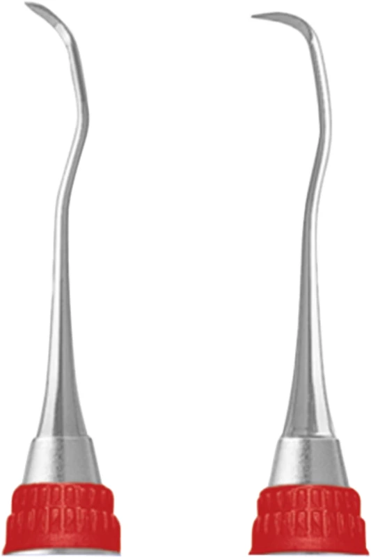 Scaler Stück S204SD76, Griff 7, anterior