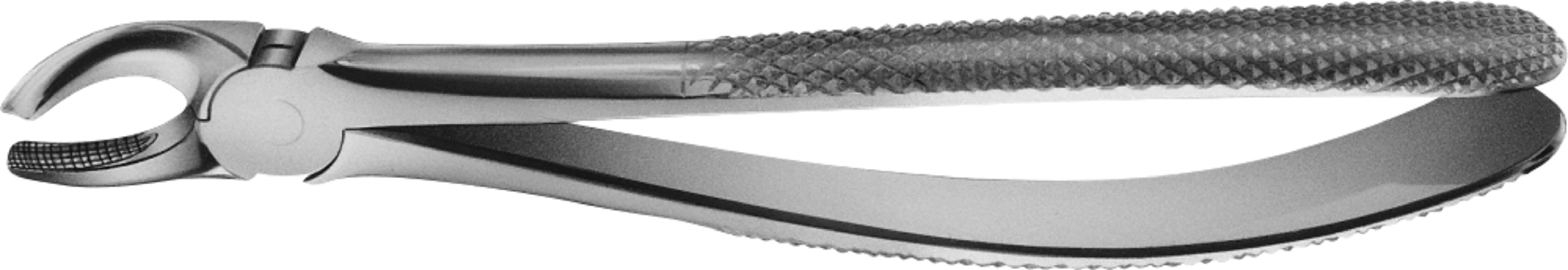 Anatomica-Zahnzangen nach Büchs Aesculap