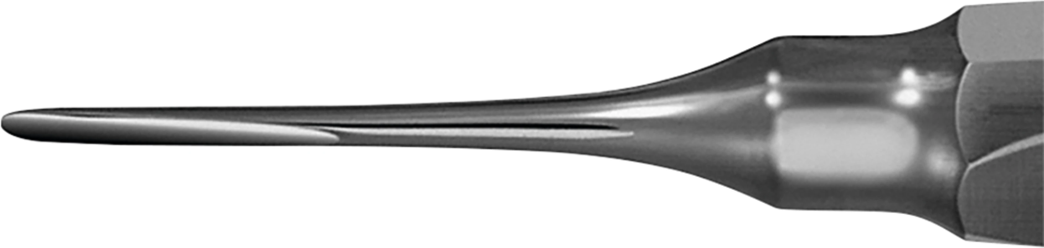 Wurzelheber Stück DL361R, 150 mm, 2,5 mm, gerade