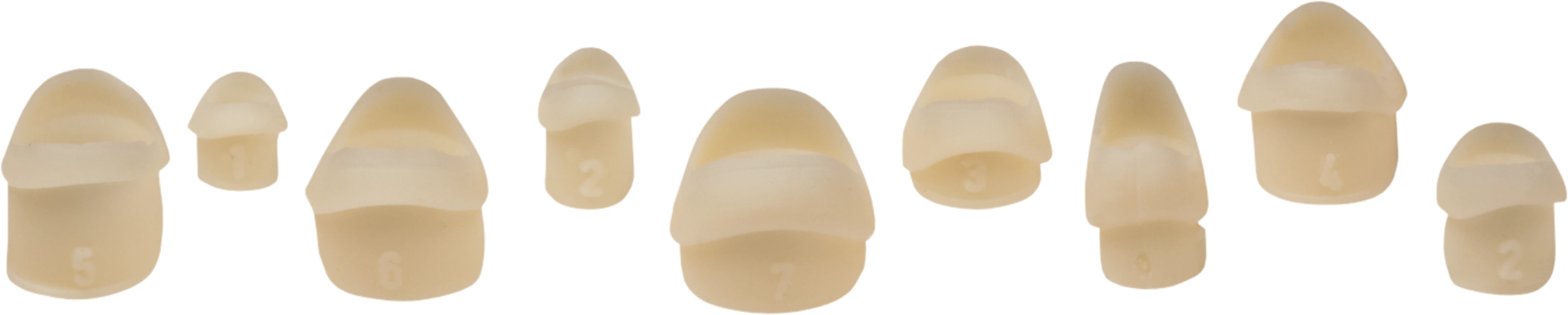 Retraktionsmanschetten Packung 20 Stück Gr. 1