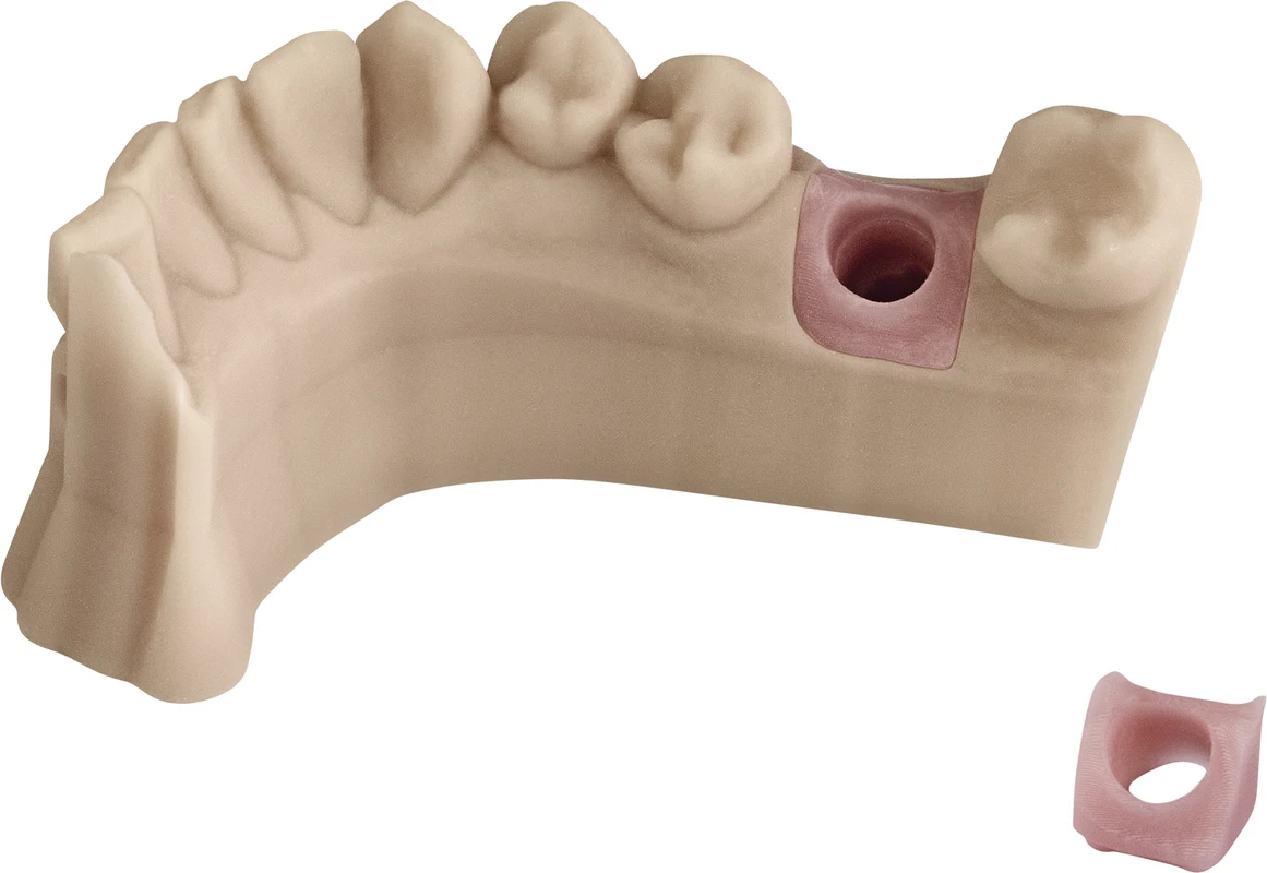 Primeprint Gingiva Kartusche 500g