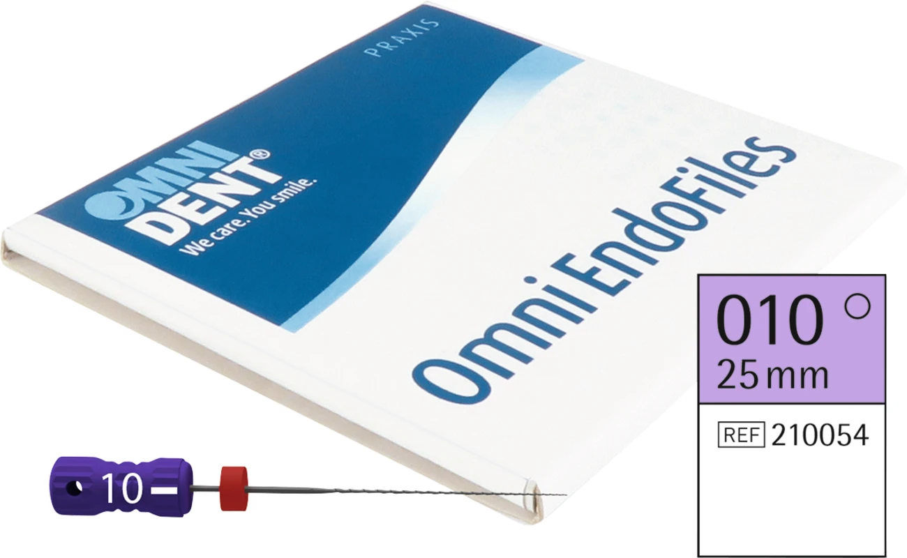 Omni Hedstroemfeilen steril Packung 6 Stück steril, 25 mm, ISO 010