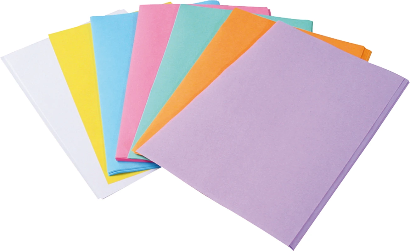 Normtrayeinlagen Packung 250 Stück 28 x 18 cm, blau DiaDent® Dia-Pro Paper Points Diadent