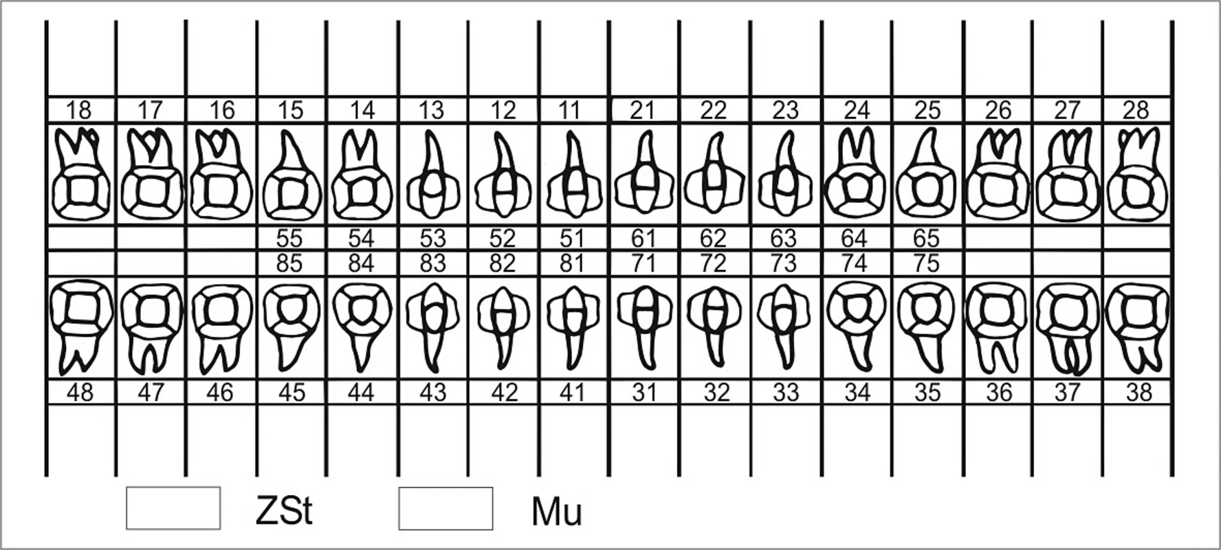 Zahnschema plastisch Beycodent