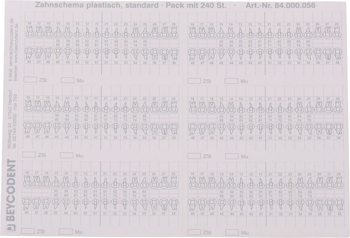 Zahnschema plastisch 056 Packung 240 Stück