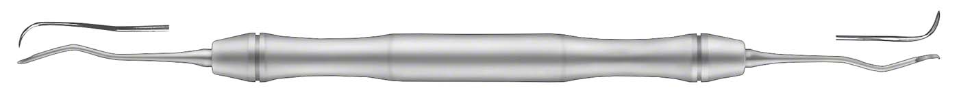 Scaler LS Carl Martin
