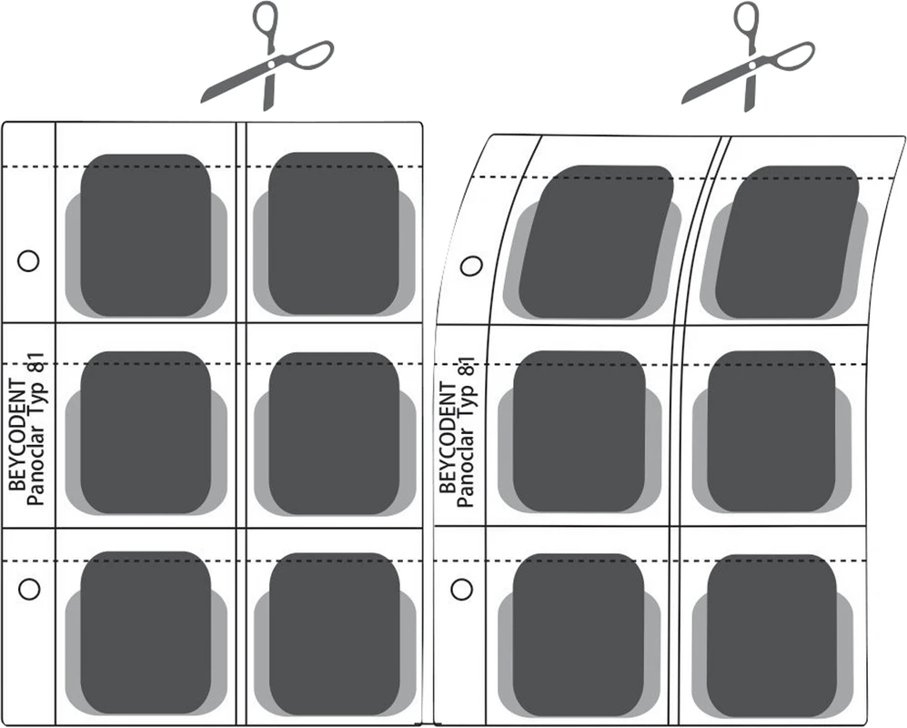 Panoclar® Typ 81 Packung 100 Stück