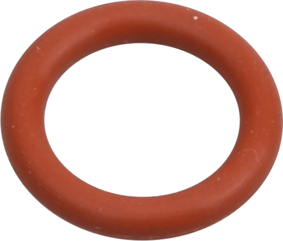 AIR-FLOW® Prophylaxis Master Dichtring Stück groß, BC-291
