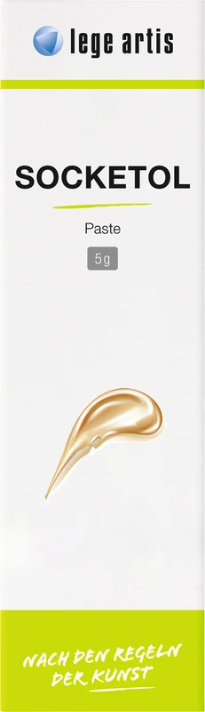 SOCKETOL Paste Packung 5 g Paste, 10 Luer Lock Kanülen