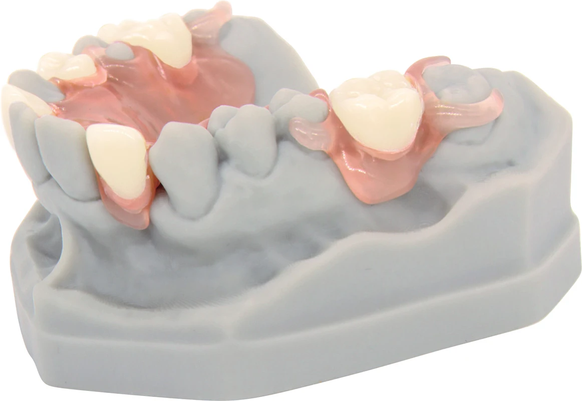 dentona vivapink Set 150 g Pulver, 110 ml Liquid