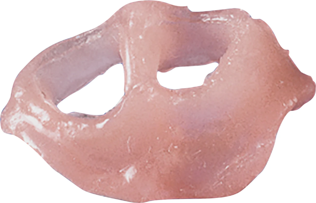 Esthetic Mask Packung 2 x 50 ml Kartusche, 10 Mischkanülen gelb, 15 ml Pumpspray