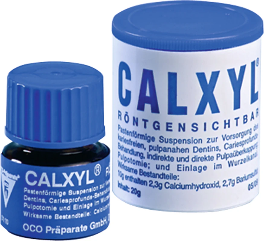 CALXYL® Flasche 20 g Paste blau Röntgensichtbar