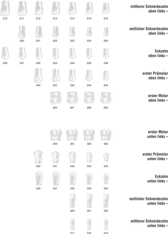 Strip-Kronen Klar Packung 5 Stück Nr. 110
