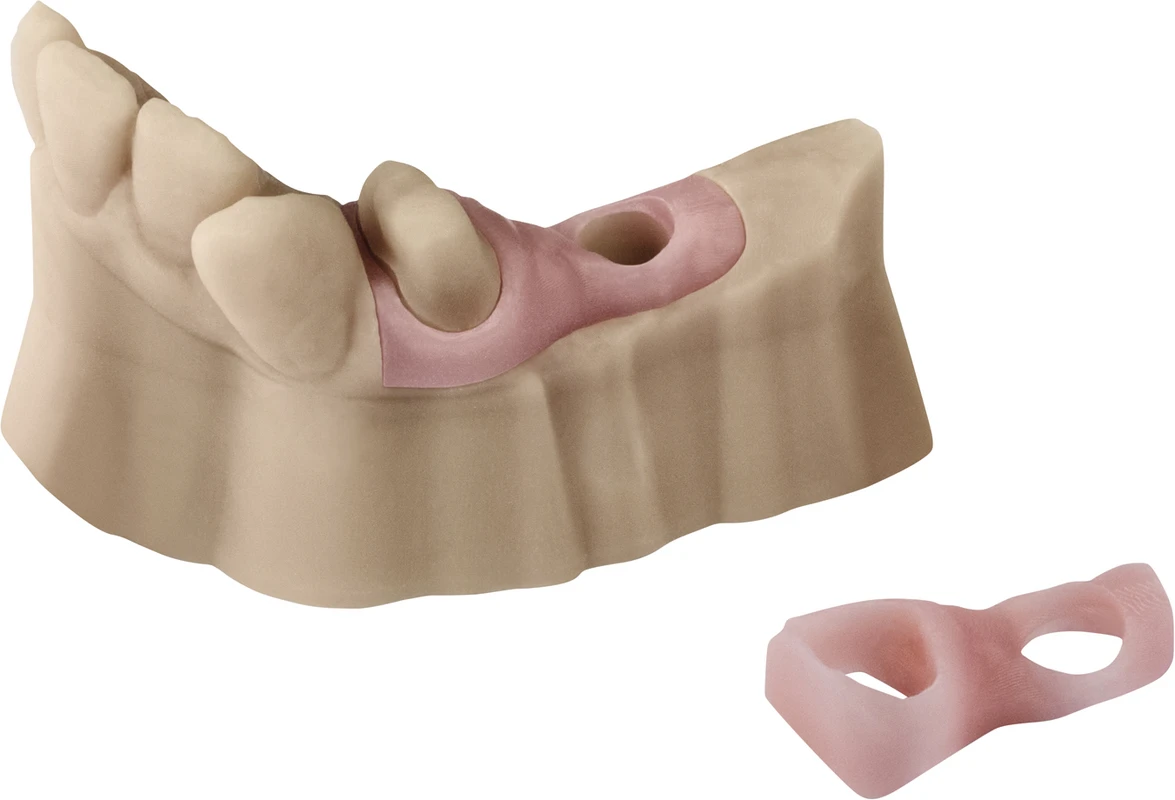 Primeprint Gingiva Dentsply Sirona