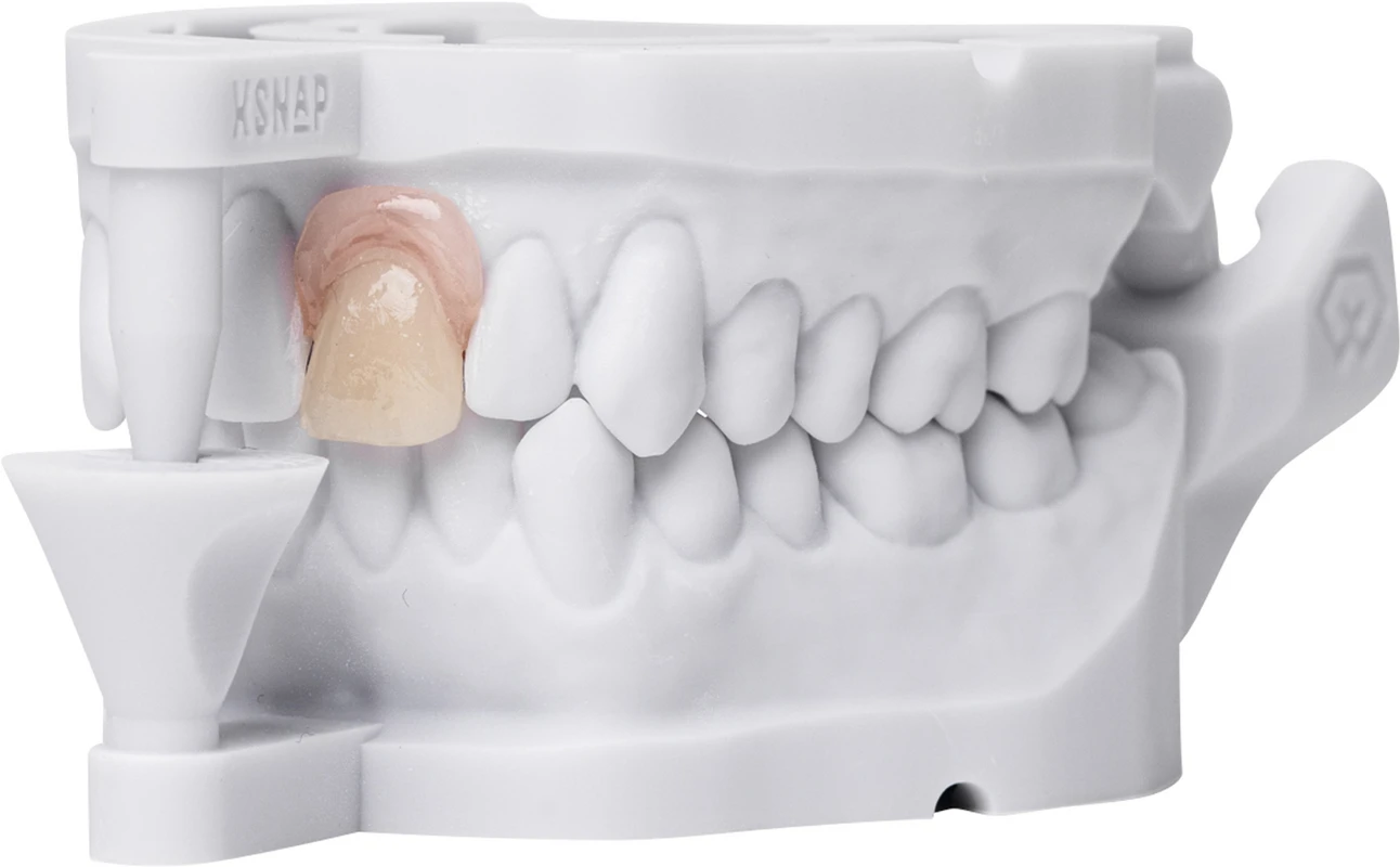 FREEPRINT® denture flex Flasche 1 kg Kunststoff 385 nm, pink-transparent