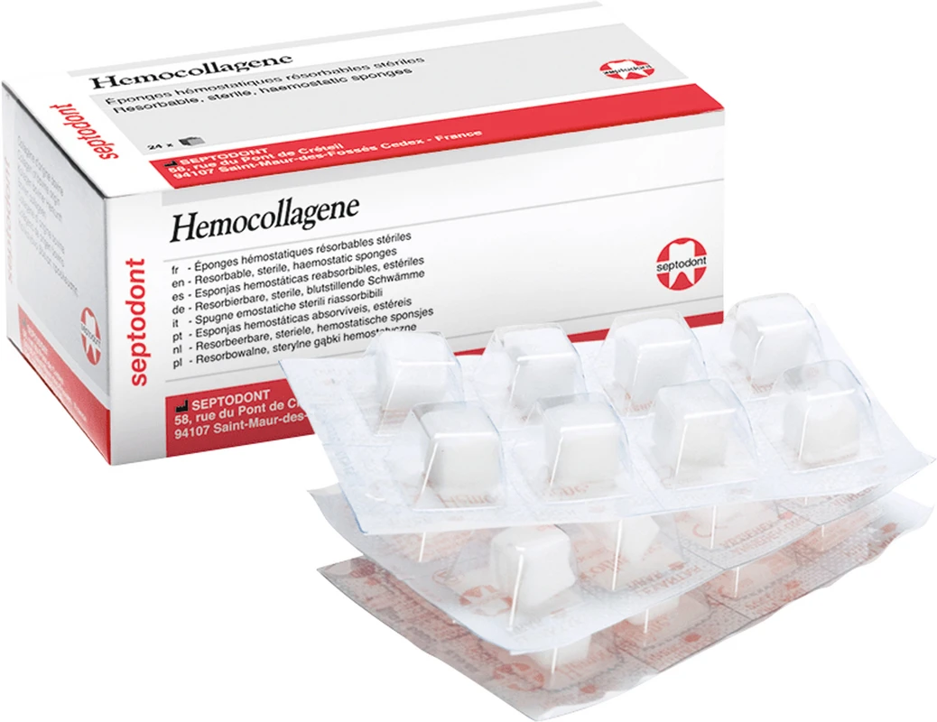 Hémocollagène Packung 24 Stück 13 x 13 x 8 mm