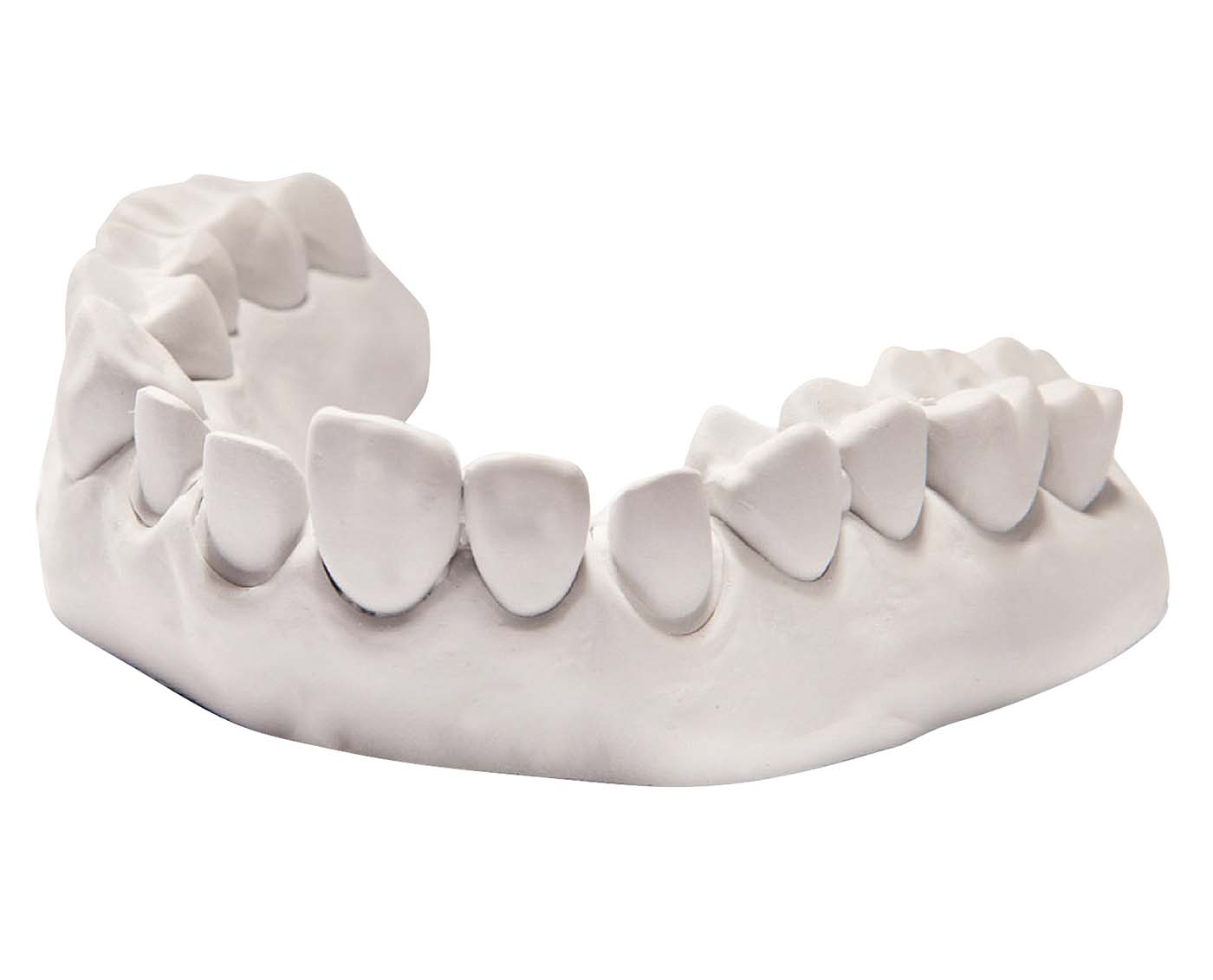 uni-base® 300 dentona