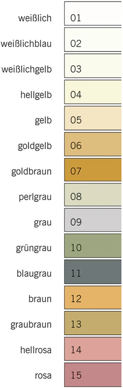 HOFFMANN´S CEMENT Packung 100 g Pulver schnellhärtend weißlich gelb